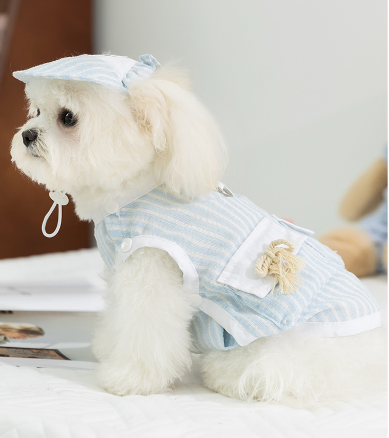 Gilet et casquette pour animaux avec poche intégrée pour PetTrack