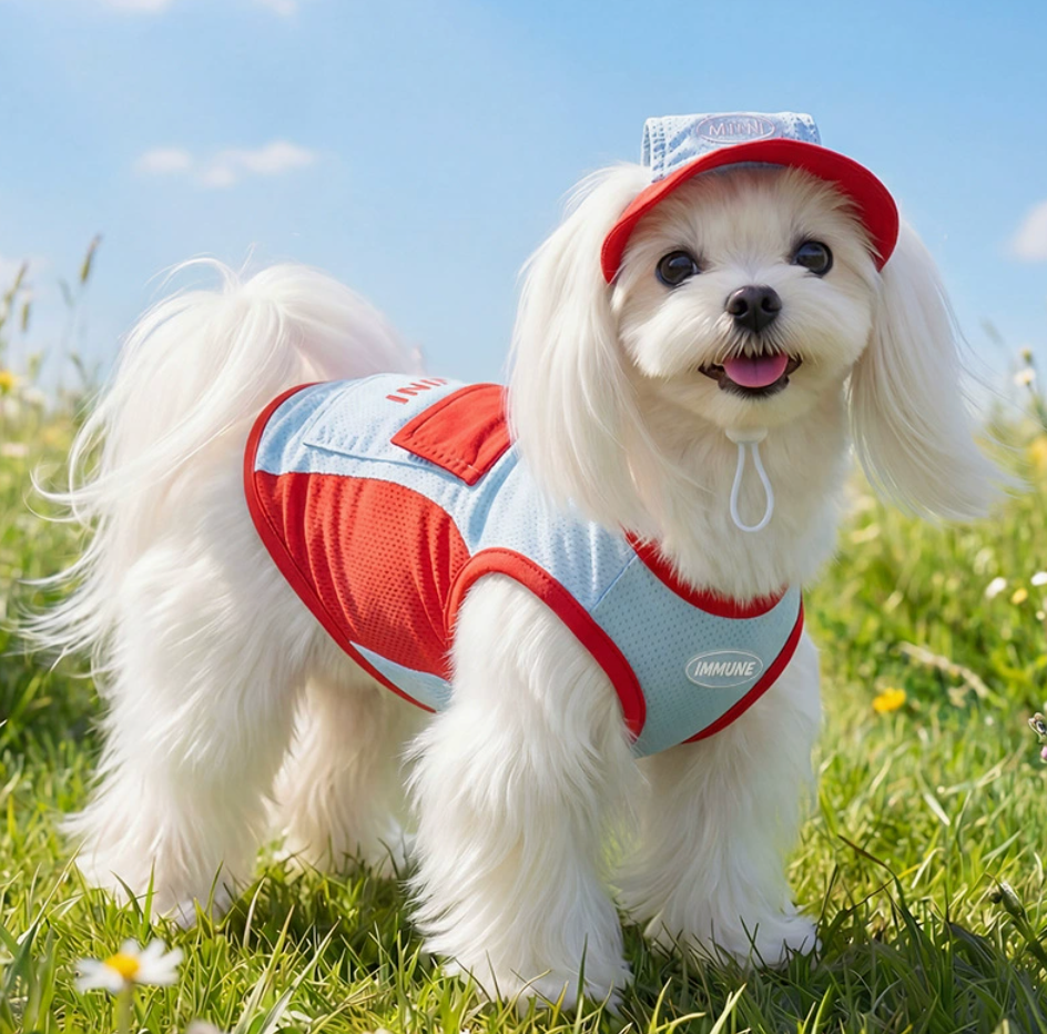 Summer Pet Cooling Vest with Hat & Built-In Tracker Pocket
